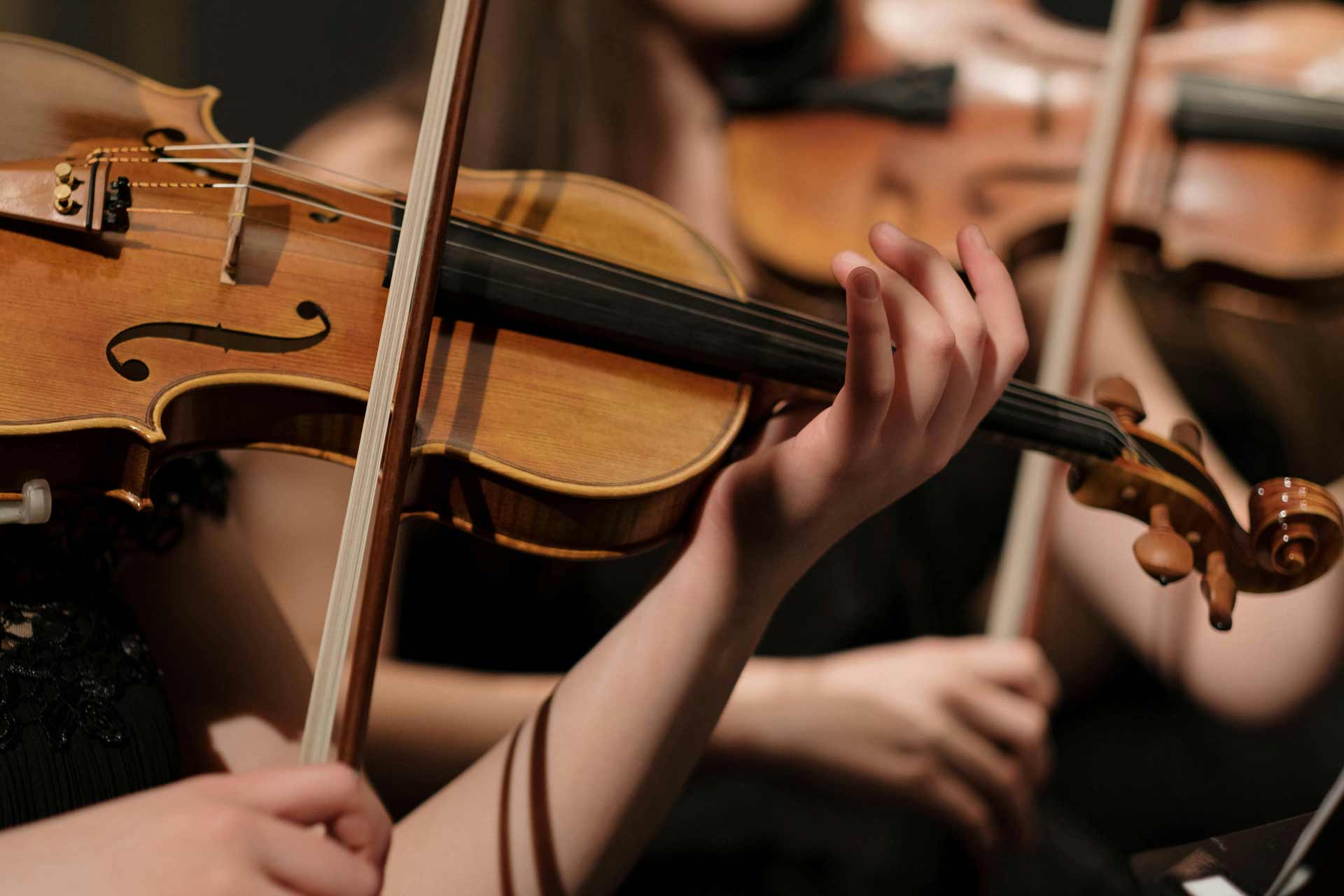Elegant party with live music