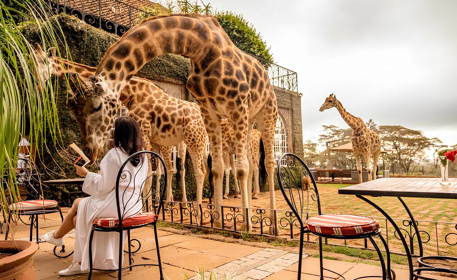 Experiences for your most important clients